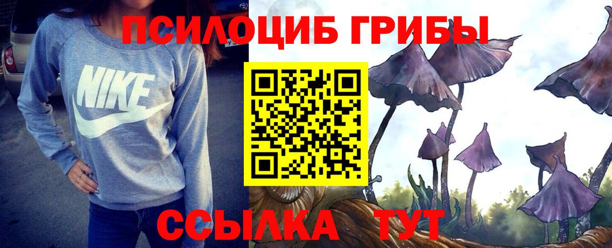 Галлюциногенные грибы прущие грибы Темрюк