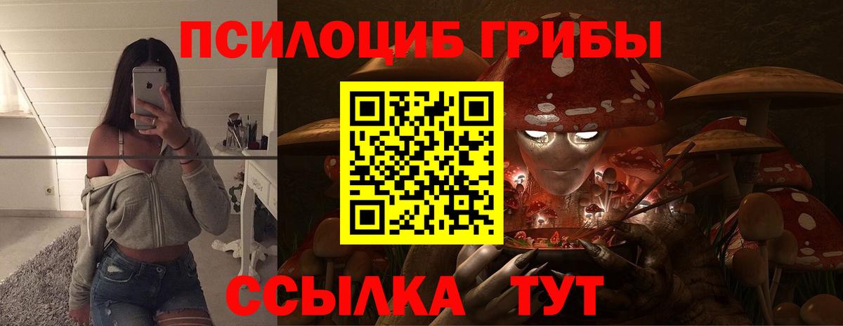 Псилоцибиновые грибы прущие грибы  Вход с VPN  Темрюк  Галлюциногенные грибы прущие грибы 